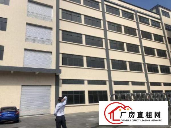  企石原房东全新标准独院厂房出租