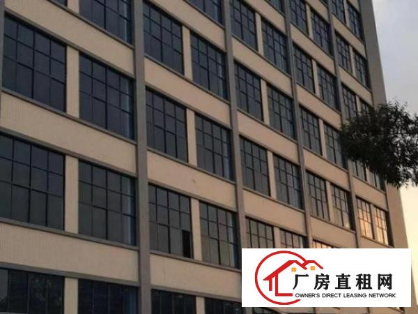  全新标准厂房、工业聚集地