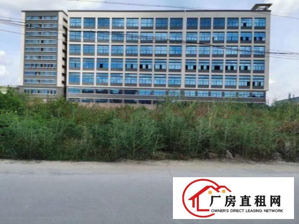 企石全新原房东带环评独院出租，可分租