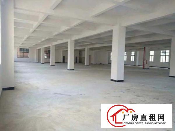  企石全新原房东带环评独院出租，可分租