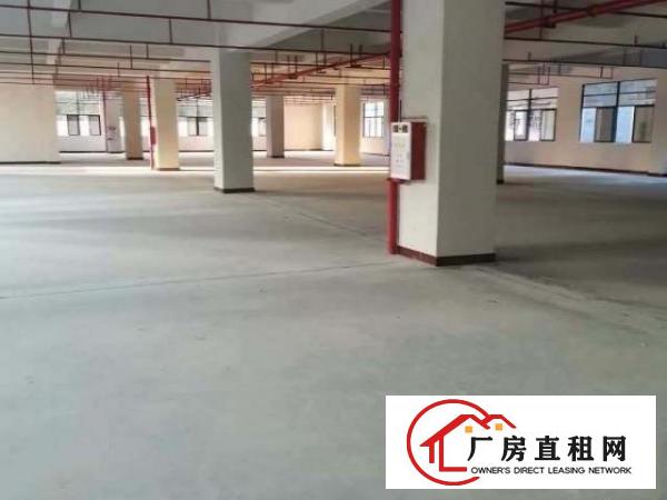  企石全新原房东带环评独院出租，可分租