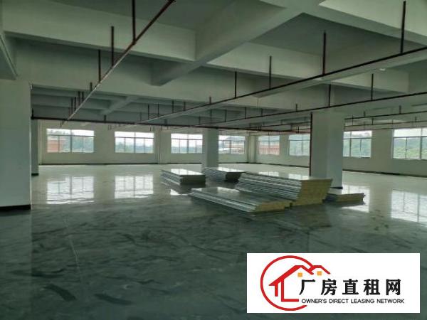  企石镇原房东，漂亮标准厂房出租，可办环评，也可分租