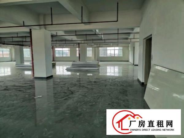  企石镇原房东，漂亮标准厂房出租，可办环评，也可分租
