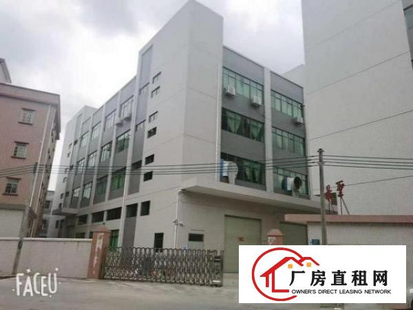  独门独院，形成装修，