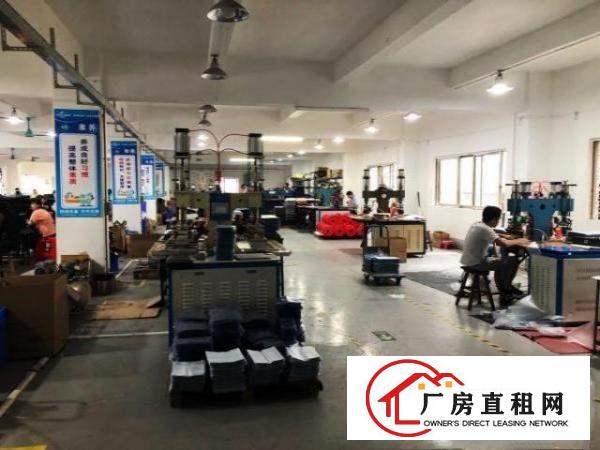  独门独院厂房低价出租带宿舍