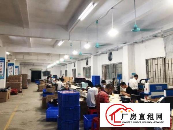  独门独院厂房低价出租带宿舍