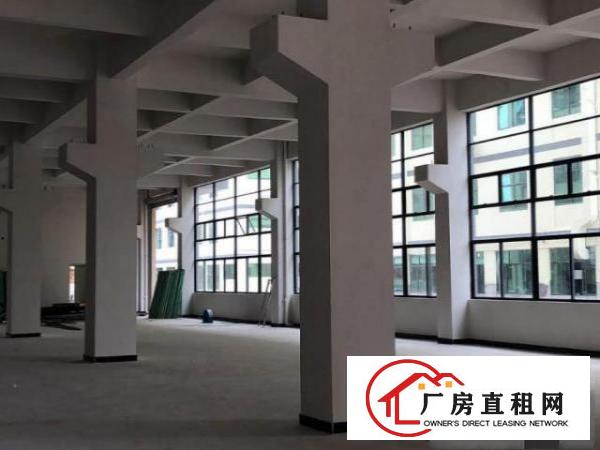  企石南坑全新带消防喷淋厂房招租
