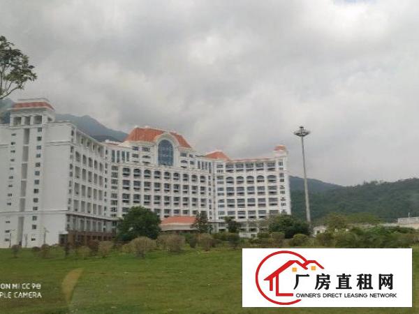  东莞市独门独院厂房出租
