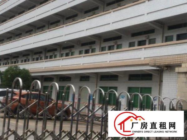  原房东钢构厂房出租滴水10米