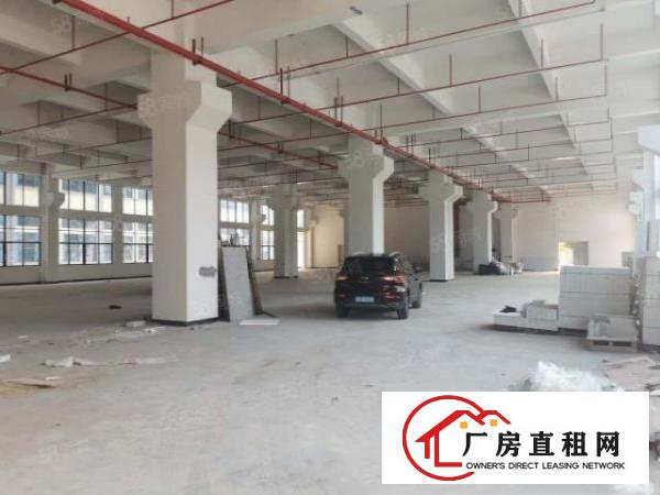  企石高新产业园红本厂房，工业聚集地，VOC排放指定园区出租