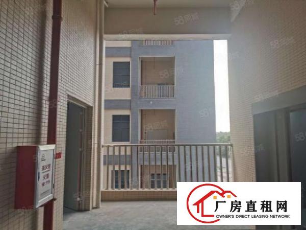  企石高新产业园红本厂房，工业聚集地，VOC排放指定园区出租