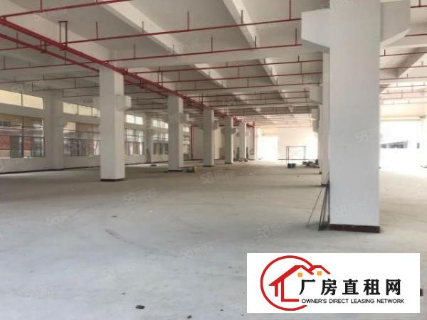  企石镇中心铁炉坑全新厂房每层面积2500平米可以分租可办环评