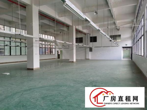  东莞企石东山楼上整层带装修1500平米有地坪漆可以办环评