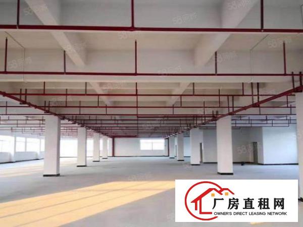  东莞市企石镇标准独院厂房3层2700平方出租带牛角行车招租！