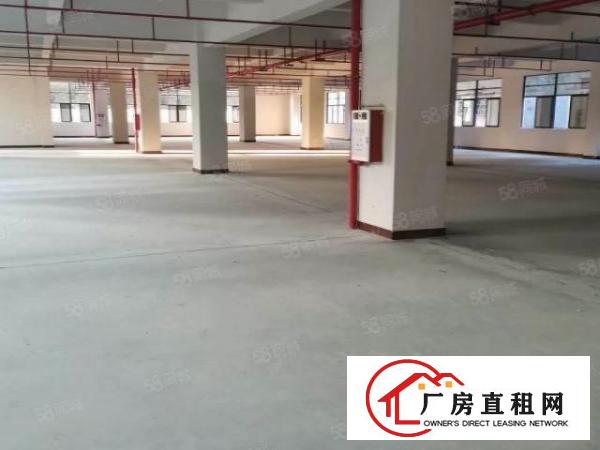  东莞市企石镇标准独院厂房3层2700平方出租带牛角行车招租！