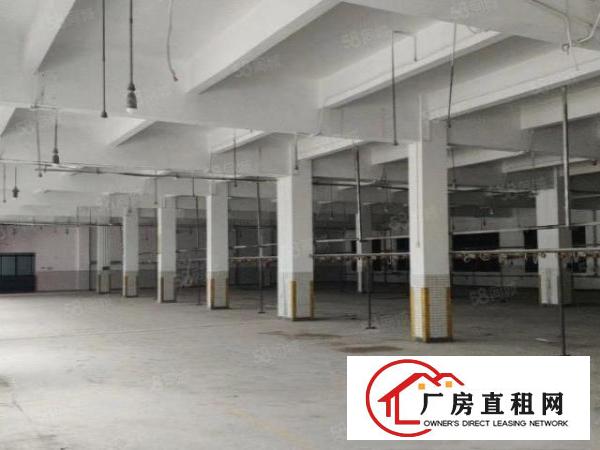  东莞市企石镇标准独院厂房3层2700平方出租带牛角行车招租！