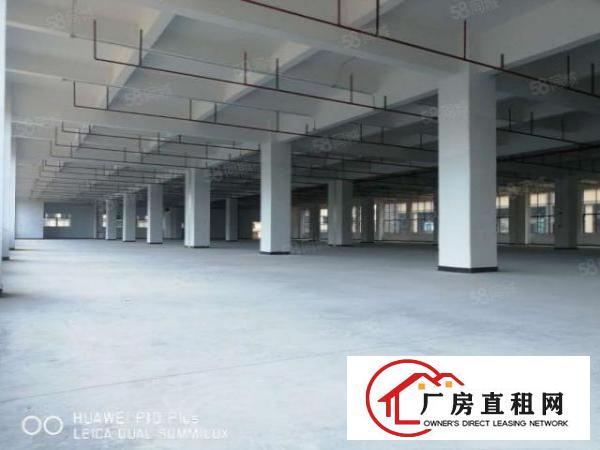  东莞企石工业聚集地8米5000到8000平方厂房仓库出租可分