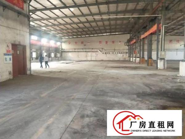  新出原房东独院单一层钢构580平滴水7米工业用地可办环评