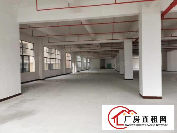  东莞企石镇中心大型工业园分租面积500.1000.1500.