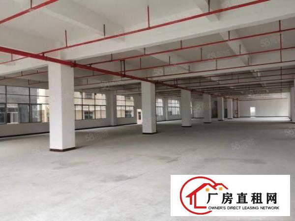  东莞企石镇中心大型工业园分租面积500.1000.1500.