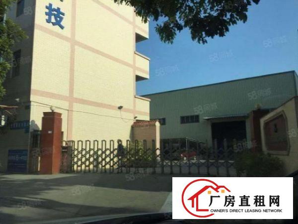  企石镇原房东10高钢构5000平米独院厂房招租，工业集散地