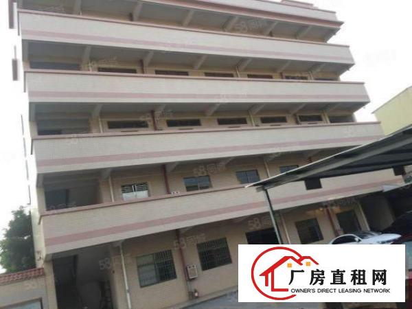  企石镇原房东10高钢构5000平米独院厂房招租，工业集散地