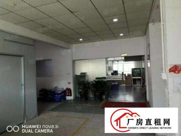  企石新出原房东标准独院厂房2500平方