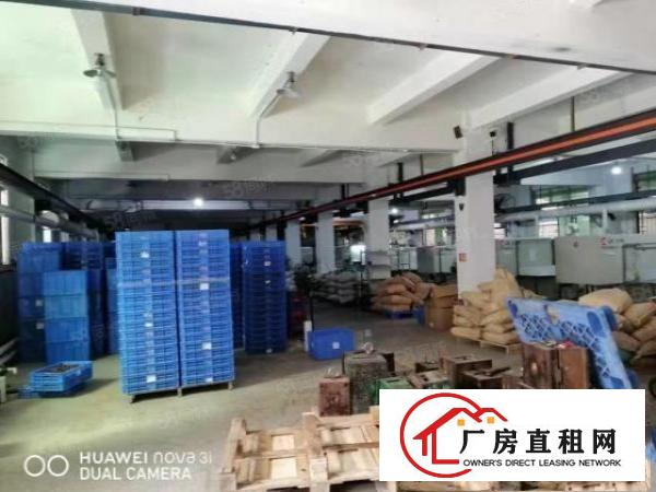  企石新出原房东标准独院厂房2500平方