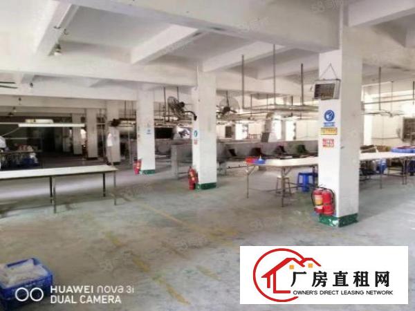  企石新出原房东标准独院厂房2500平方