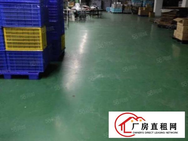  企石新出原房东标准独院厂房2500平方