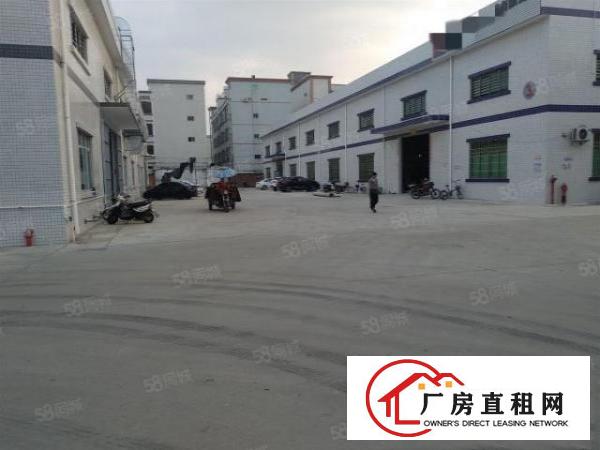  企石独院厂房单一层精装修钢钩超大空地工业用地可办环评