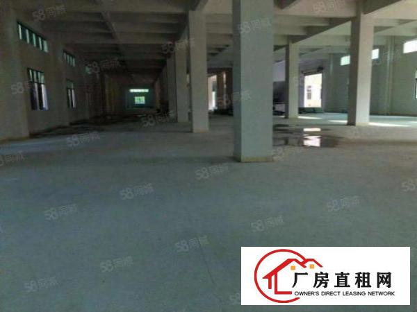  东莞市企石镇原房东标准厂房1800平方带现成办公室出租！！！