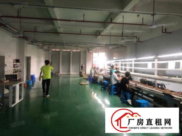  全新标准厂房分租楼上2100平方，精装修，可分租，东部快速边