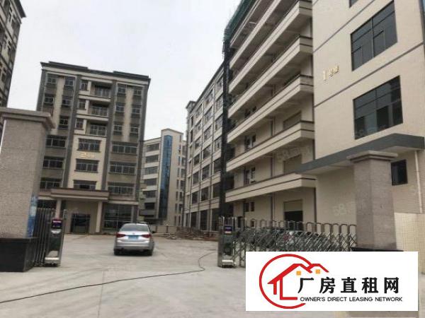  东莞企石镇杨屋大工业园楼上标准一层1100带精装修厂房出租
