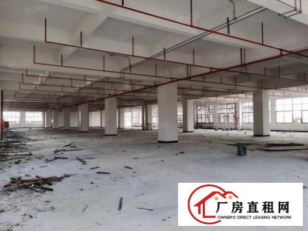  东莞企石镇13000平方大小分租工业区独院6米高厂房仓库出租