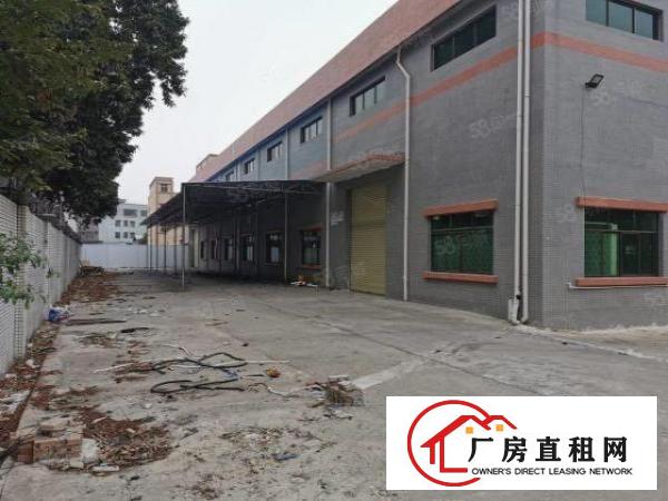  东莞企石多套原房东单层独院低价出租可办环评