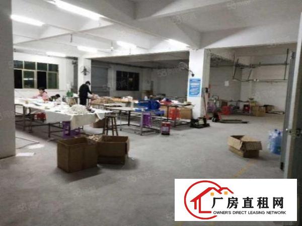  独门独院厂房出租形象好