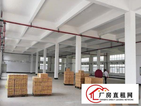  企石镇原房东独院全新标准厂房六层8000平方现房招租！！！！