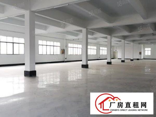  企石镇原房东独院全新标准厂房六层8000平方现房招租！！！！