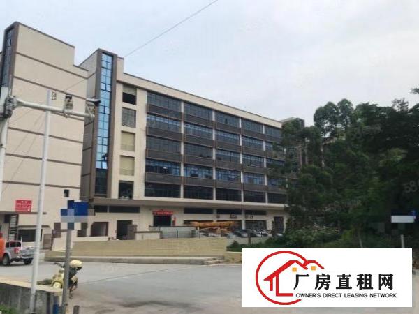  房东帮装修永发大工业园标准一层2000平方厂房仓库东莞企石镇