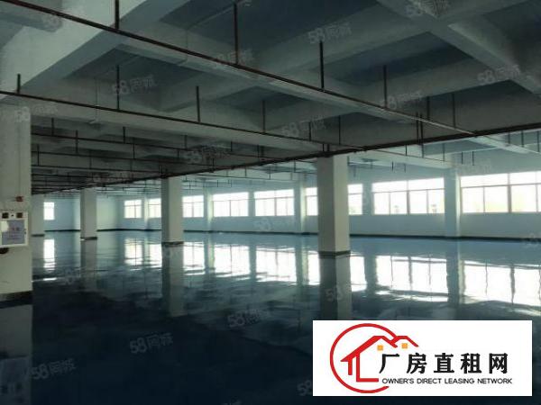  房东帮装修永发大工业园标准一层2000平方厂房仓库东莞企石镇
