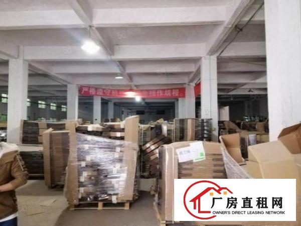 原房东独院标准厂房出租