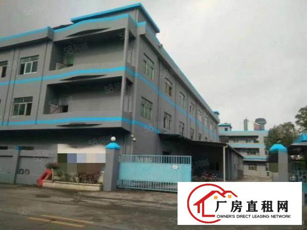  企石镇红本现房4680平方出租，现房出租！现房出租！