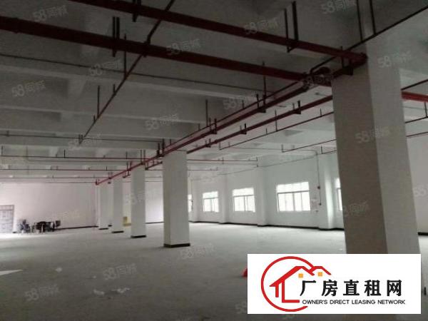 企石原房东单一层独院厂房3200平方现房出租！现房出租！！！
