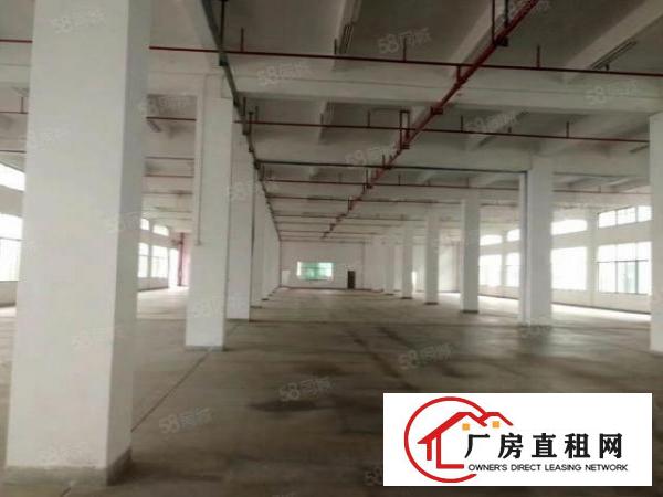  企石原房东单一层独院厂房3200平方现房出租！现房出租！！！