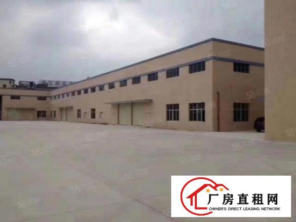  企石原房东单一层独院厂房3200平方现房出租！现房出租！！！