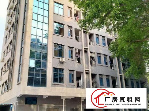  东莞东平科技园带豪华地坪漆二楼2300平米，VOC排放标准