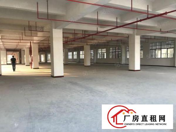  东莞企石镇东平科技园出租2楼2300平方带装修可分租一半