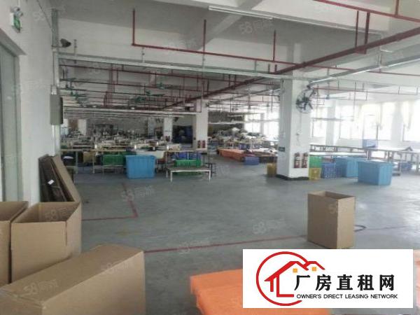  企石镇原房东独门独院厂房5000平米招租，工业用地，可办环评