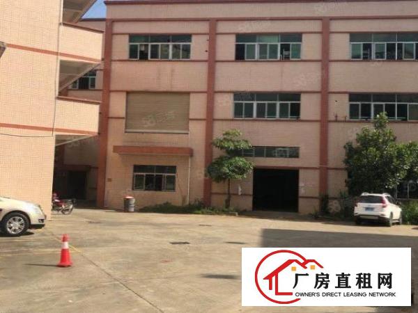  企石镇原房东独门独院厂房5000平米招租，工业用地，可办环评